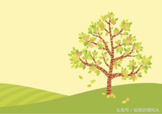 安閣命理風水：男命易婚姻感情糾結的八字組合