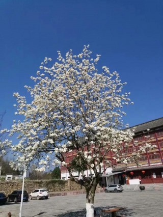 黃石建材家居商戶五祖寺祈福之旅圓滿結束