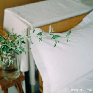 日本主婦的“綠植之家”，用自然植物裝點生活家居，點綴品質生活
