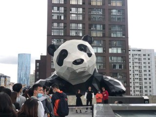 重慶之旅味在火鍋，成都美食更多下午茶時間嘗個遍，大家怎麼看？