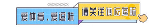 逗妹吐槽：本澤馬：以後不要叫我笨馬，請叫我霸王龍！