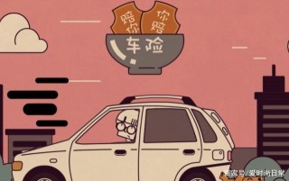 車主說：這類車險純屬娛樂，基本上用不上，有車一族要注意