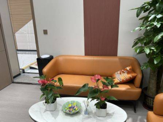 中豪宅配環保建材：重塑全鋁家居未來_鋁合金_市場_消費者