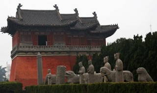 風水先生尋寶地，兒子沒全聽，江南無黑狗只因一褲衩