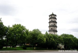 上饒城外草地一派田園風光，遍地牛群撒野，適合國慶郊遊溜娃
