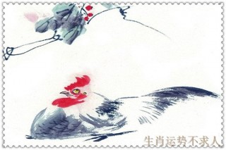 生肖雞性格優缺點 他們實力還是在線的！