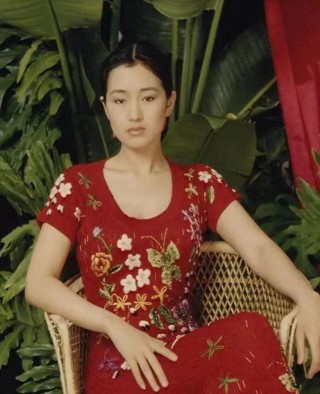 娛樂圈美人圖鑒，藏在複古年代的美人，27歲的鞏俐