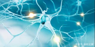 西安交大生物醫學工程博士聯合河北財文科技公司進行腦電科研