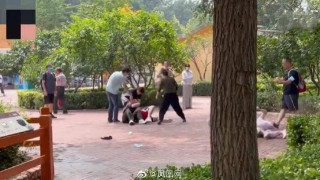 旅遊熱聞：遊客在北京野生動物園打架，園方通報：當晚動物紛紛效仿