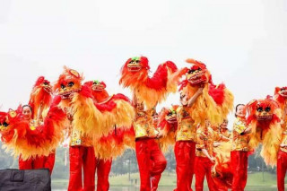 2021羅店龍船文化節今在美蘭湖畔開幕