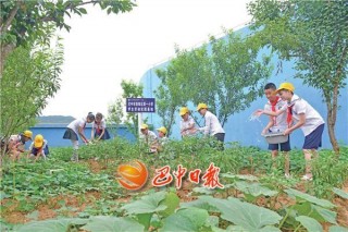 恩陽區中小學推行勞動教育
