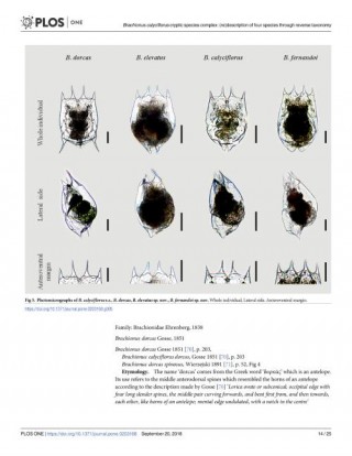 海洋與淡水生物學Top期刊Freshwater Biology刊登省水科院張偉博士研究成果