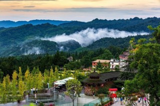 冬遊天府｜喝旺湯、吃年豬！雅安多個景區推出旅遊優惠政策喜迎年豬文化節