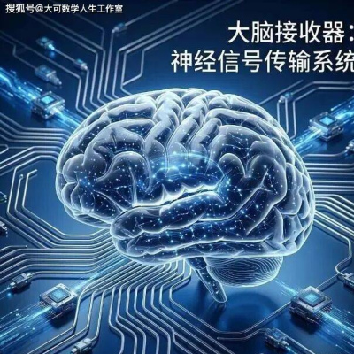 顛覆百年認知：大腦不是意識的“源頭”，而是“接收終端”_高維_現代科學_信息