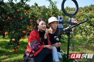 張家界市電商運營服務中心“訂單助農”促消費扶貧