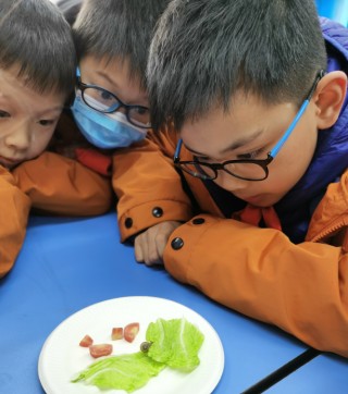 “跟大自然握握手”成都金沙小學帶領學子探究生命的奧秘