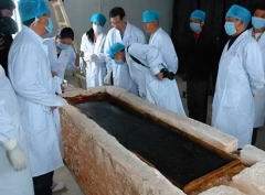 考古隊挖出七星封印棺，出現時空錯位的遺物，線索卻
