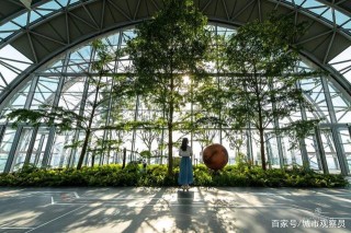 登陸火星、穿越叢林、雲端漫步……重慶探索艙·觀景