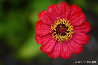9月起，前緣未盡，朝朝暮暮，夢裏相望，與前任牽手再愛的四星座