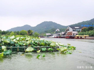 杭州出發13分鐘，即可到達的美麗濕地，美景美食一站集齊