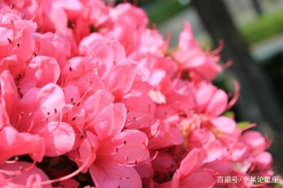 10月好運來臨，事業勇往直前，愛情大豐收的星座，前程似錦4星座