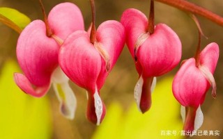 1月財神賜福，添丁又添喜，發財又中獎，大富特富鴻運來的3星座