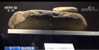 完整證據鏈顯示 1萬年前 浙江上山先民就已經開始栽培水稻