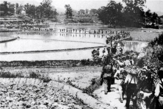 戰爭年代的殘酷真相：新四軍指揮員一念之差，決定部隊的生死存亡