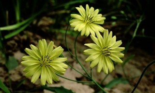 9月終於熬出頭，福星高照，貴人撐腰，運勢大旺，3星座彩票中獎了