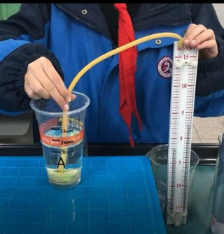 科學實驗室丨一杯奶茶裏藏著這麼大的秘密！