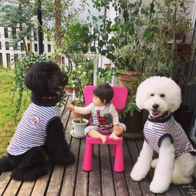如果因為生孩子就把狗狗送走，你將永遠錯過這些畫面……