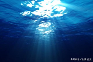 探秘：海洋到底有多深？人類在深海11000米下都發現了什麼？