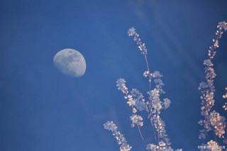 有勇有謀的星座，不僅膽子大，且頗具智慧