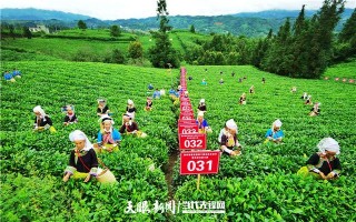「文軍扶貧電商行動」“普安紅”天貓官方旗艦店正式運營啦！