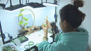 保山電信量身定制直播寬帶，為地方經濟發展注入新動能~