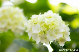 11月，水逆退散，烏雲盡消，3星座愛火重燃，餘生恩愛不斷！