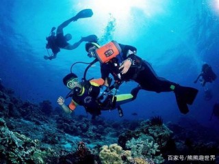 深圳再一次轟動全國？生物學家目光聚集大鵬灣，太令人不可思議了