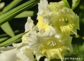 未來10天運勢上上簽，人生開始彎道超車，有錢有勢的4星座