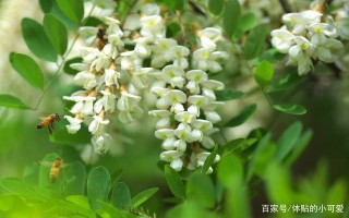 1月下旬，心房打開，笑迎幸福，3星座天降喜緣，一生美滿