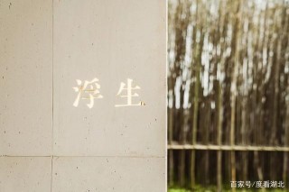 武昌江邊，探索發現另一種極致藝術的理想生活
