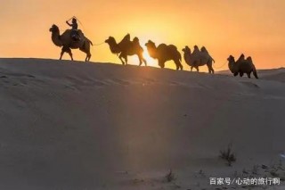 越時空回望歷史，在草原重溫金戈鐵馬背後的繁榮盛世