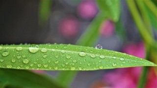 1月末，再過4天，月老做媒，3星座邂逅真愛，重拾愛情，比翼雙飛
