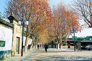 蘇州旅遊攻略｜三天兩晚景點路線全乾貨，教你玩轉蘇州