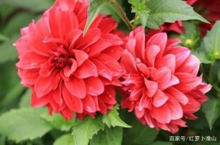 12月一到，開門見喜！這3星座有千年一遇橫財運，苦盡甘來！