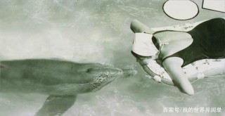 為科學獻身？神秘實驗致女飼養員與雄性海豚相愛，最後難以收場