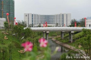 4年新增9所高校，四川宜賓加快建成成渝地區區域教育中心