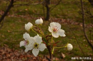 12月，財運上上簽，橫財不請自來，天賜吉兆喜事成雙的星座