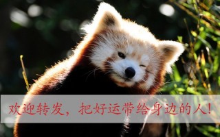 1月29日-2月4日，12星座事業、愛情、財運運勢分析！最新