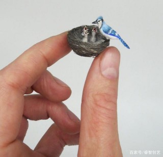 生物學家迷戀袖珍藝術，創造指尖上的森林生態系