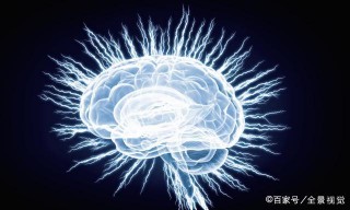 美國神經生物學家：抓住大腦發育黃金期，父母精心養育聰明娃
